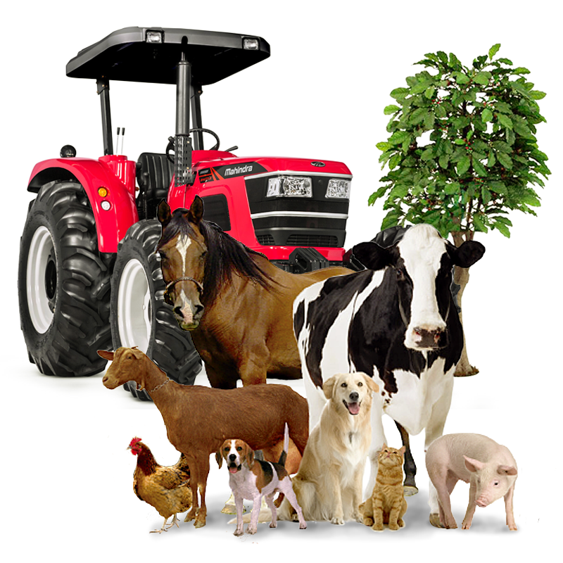 Pets e Agropecuária