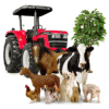 Pets e Agropecuária